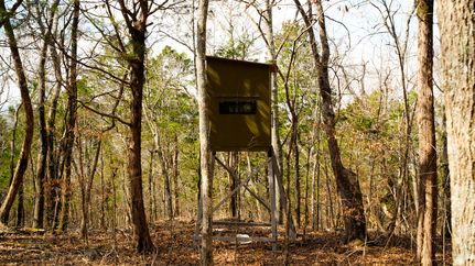 Property for sale in Jackson County, Alabama