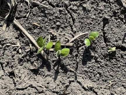 Property for sale in Livingston County, Illinois