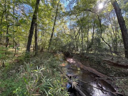 Property for sale in Spalding County, Georgia