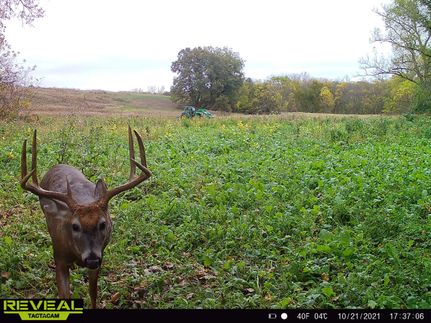 Hunting Land for sale in Putnam County, Missouri