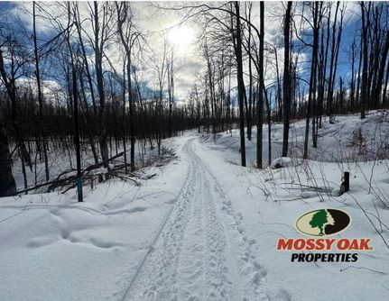 Property for sale in Montmorency County, Michigan