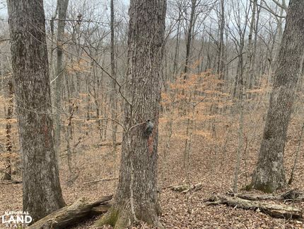 Property for sale in Metcalfe County, Kentucky