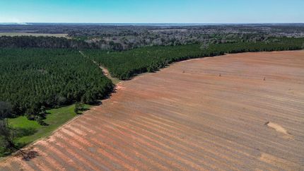 Farm Property for sale in Clay County, Georgia