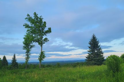 Property for sale in Aroostook County, Maine