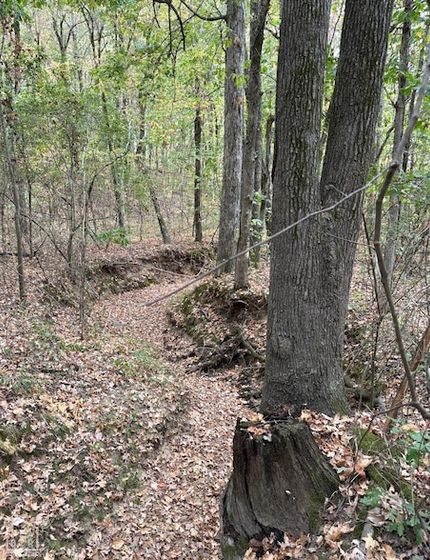 Property for sale in Craighead County, Arkansas