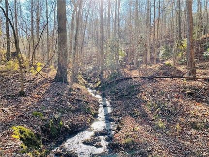 Property for sale in Lumpkin County, Georgia