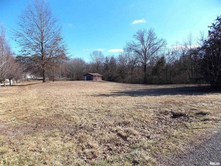 Undeveloped Land for sale in Marion County, Illinois