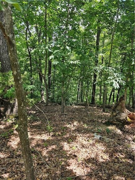Property for sale in Benton County, Arkansas