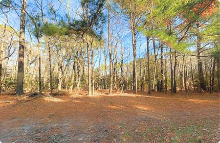 Undeveloped Land for sale in Northampton County, Virginia