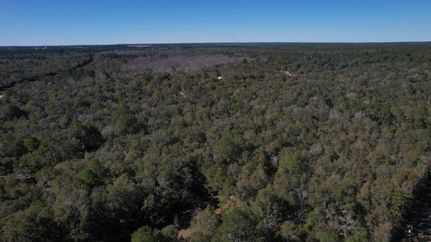 Farm Property for sale in Tattnall County, Georgia