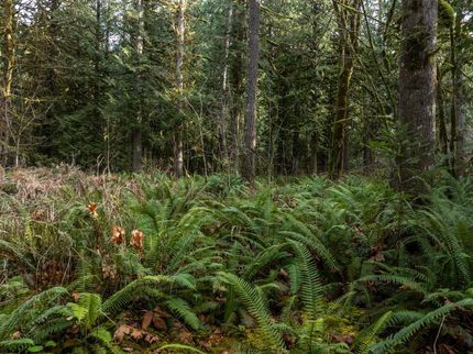 Property for sale in Clackamas County, Oregon