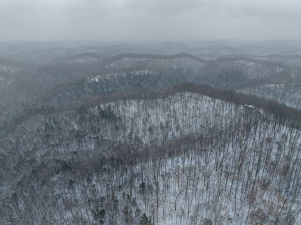 Property for sale in Wayne County, West Virginia