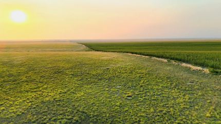 Property for sale in Adams County, Colorado