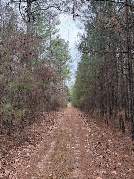 Property for sale in Kemper County, Mississippi
