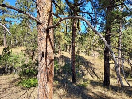 Property for sale in Musselshell County, Montana