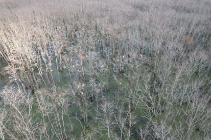 Recreational Property for sale in Leflore County, Mississippi