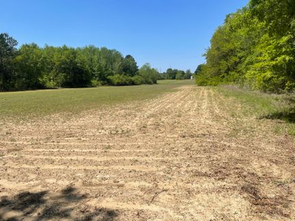 Farm Property for sale in Jackson County, Florida