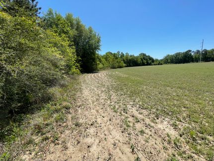 Farm Property for sale in Jackson County, Florida