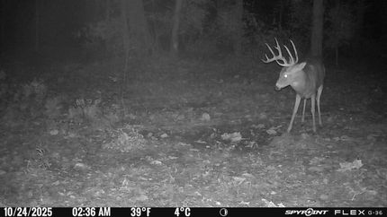 Farm Property for sale in Howard County, Missouri