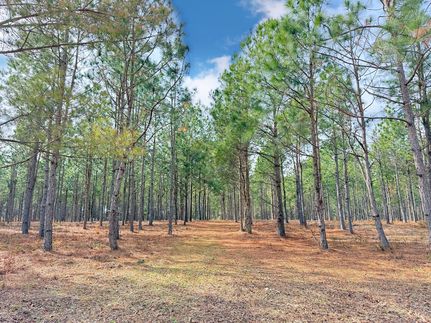 Ranch Property for sale in Dillon County, South Carolina