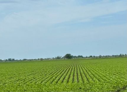 Property for sale in Grand Forks County, North Dakota