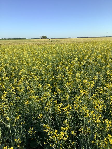 Property for sale in Grand Forks County, North Dakota