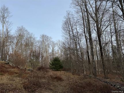 Undeveloped Land for sale in Sullivan County, New York