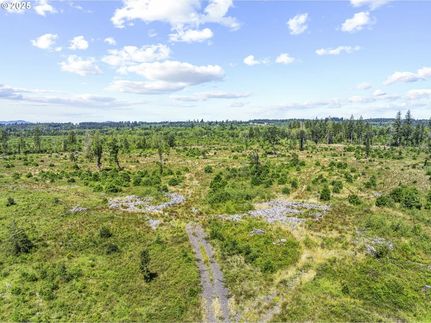 Undeveloped Land for sale in Lewis County, Washington