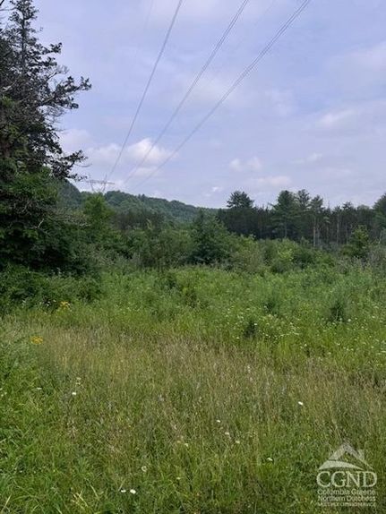Property for sale in Greene County, New York