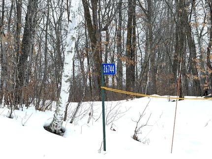 Property for sale in Crow Wing County, Minnesota