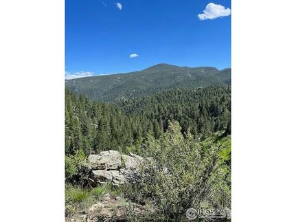 Undeveloped Land for sale in Larimer County, Colorado