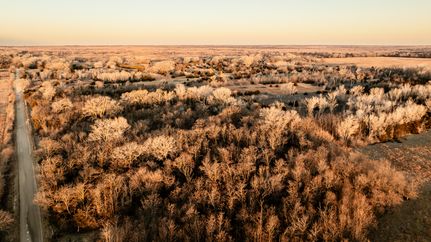 Property for sale in Rice County, Kansas