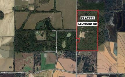 Undeveloped Land for sale in Jefferson Davis Parish, Louisiana