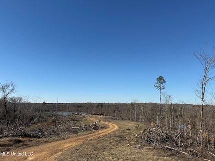 Property for sale in Carroll County, Mississippi