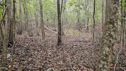 Property for sale in Warren County, North Carolina