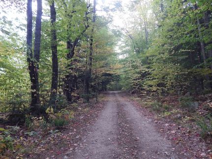 Undeveloped Land for sale in Oxford County, Maine