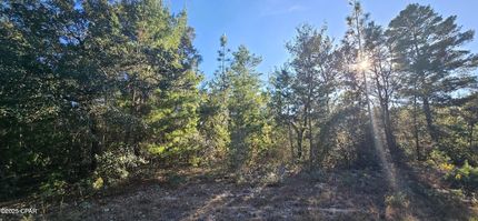 Property for sale in Washington County, Florida