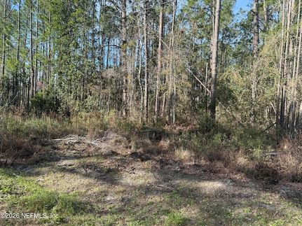 Undeveloped Land for sale in Clay County, Florida