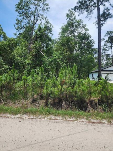 Property for sale in Volusia County, Florida