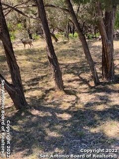 Residential Property for sale in Bandera County, Texas