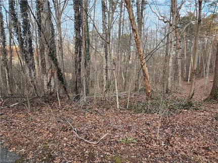 Property for sale in Surry County, North Carolina