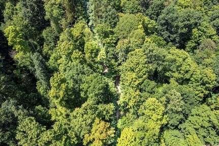 Undeveloped Land for sale in Pike County, Ohio