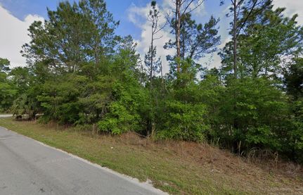 Timberland Property for sale in Putnam County, Florida