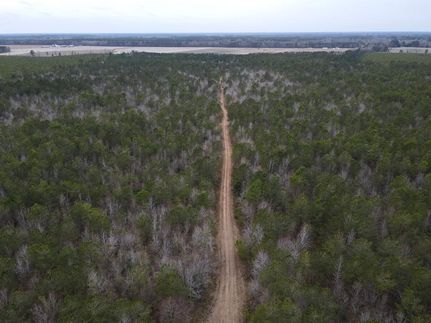 Undeveloped Land for sale in Edgecombe County, North Carolina