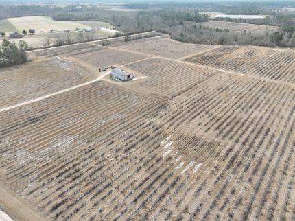 Property for sale in Jeff Davis County, Georgia