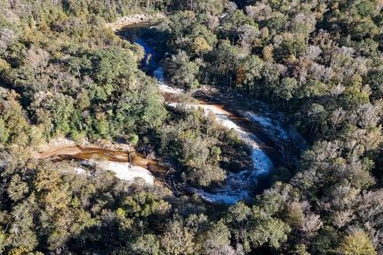 Timberland Property for sale in Sabine Parish, Louisiana