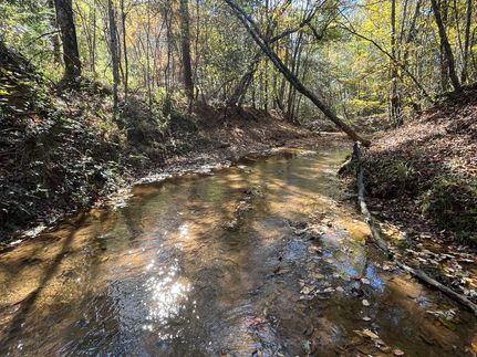 Property for sale in Henry County, Alabama