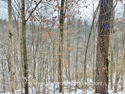 Hunting Land for sale in Mingo County, West Virginia