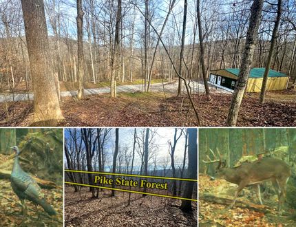 Hunting Land for sale in Pike County, Ohio