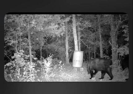 Property for sale in Pushmataha County, Oklahoma